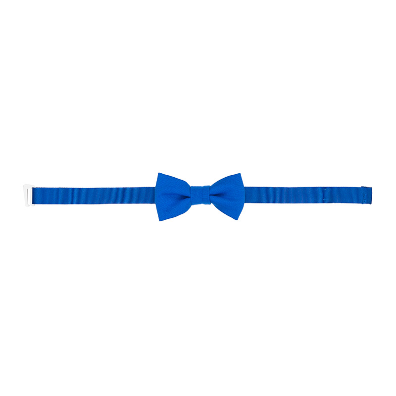 Bow Tie