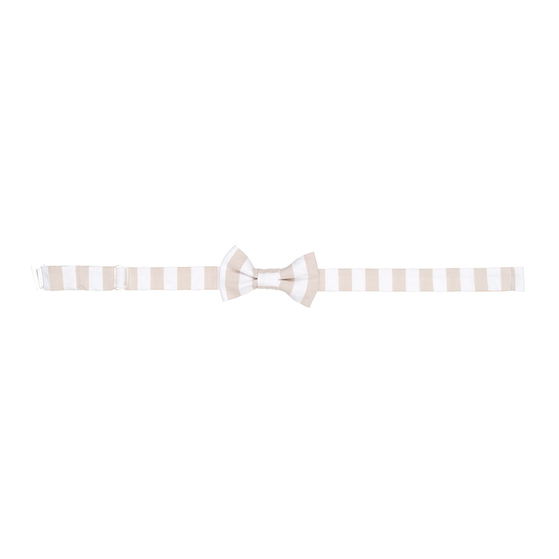 Striped Bow Tie