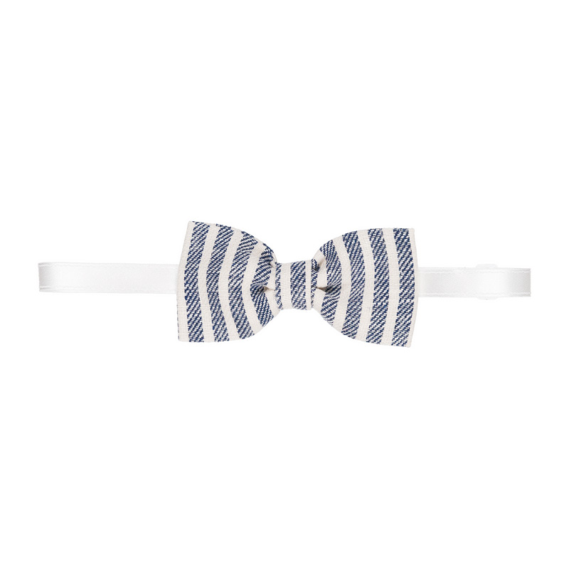 Blue striped bow tie